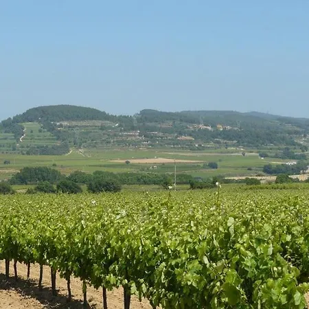 게스트하우스 Homenfun Crestabocs Bed&Breakfast Sant Pau d'Ordal