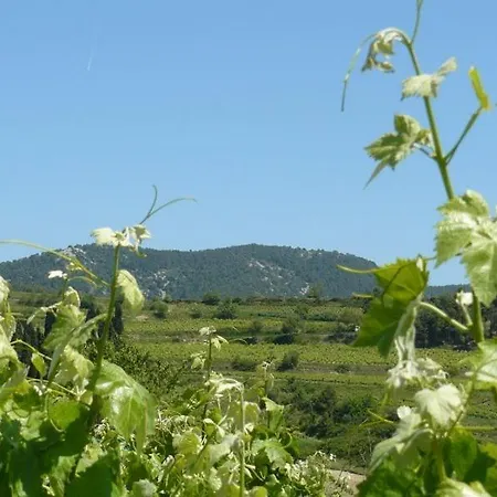 Homenfun Crestabocs Bed&Breakfast Sant Pau d'Ordal